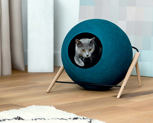 oshare-pet-supply-cat2