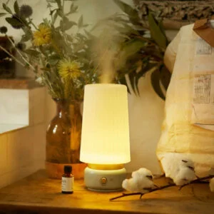 【2025年版】おしゃれな卓上加湿器11選。かわいいデザインもおすすめ