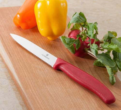 おしゃれなペティナイフ1