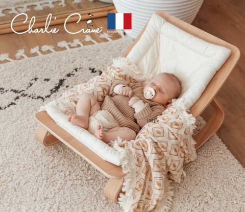 おしゃれなバウンサー11